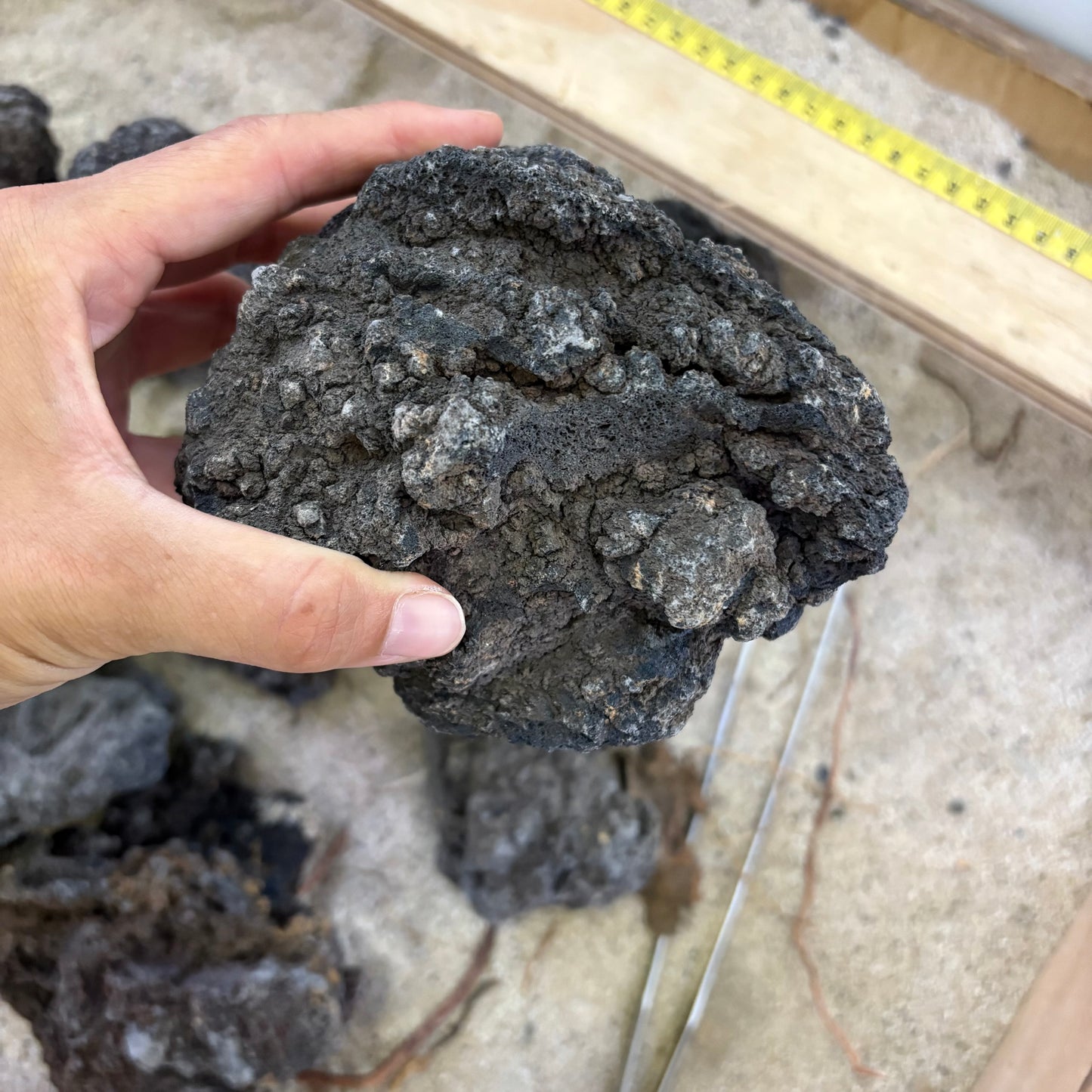 Lava Black Indonesia - Roca por kilo