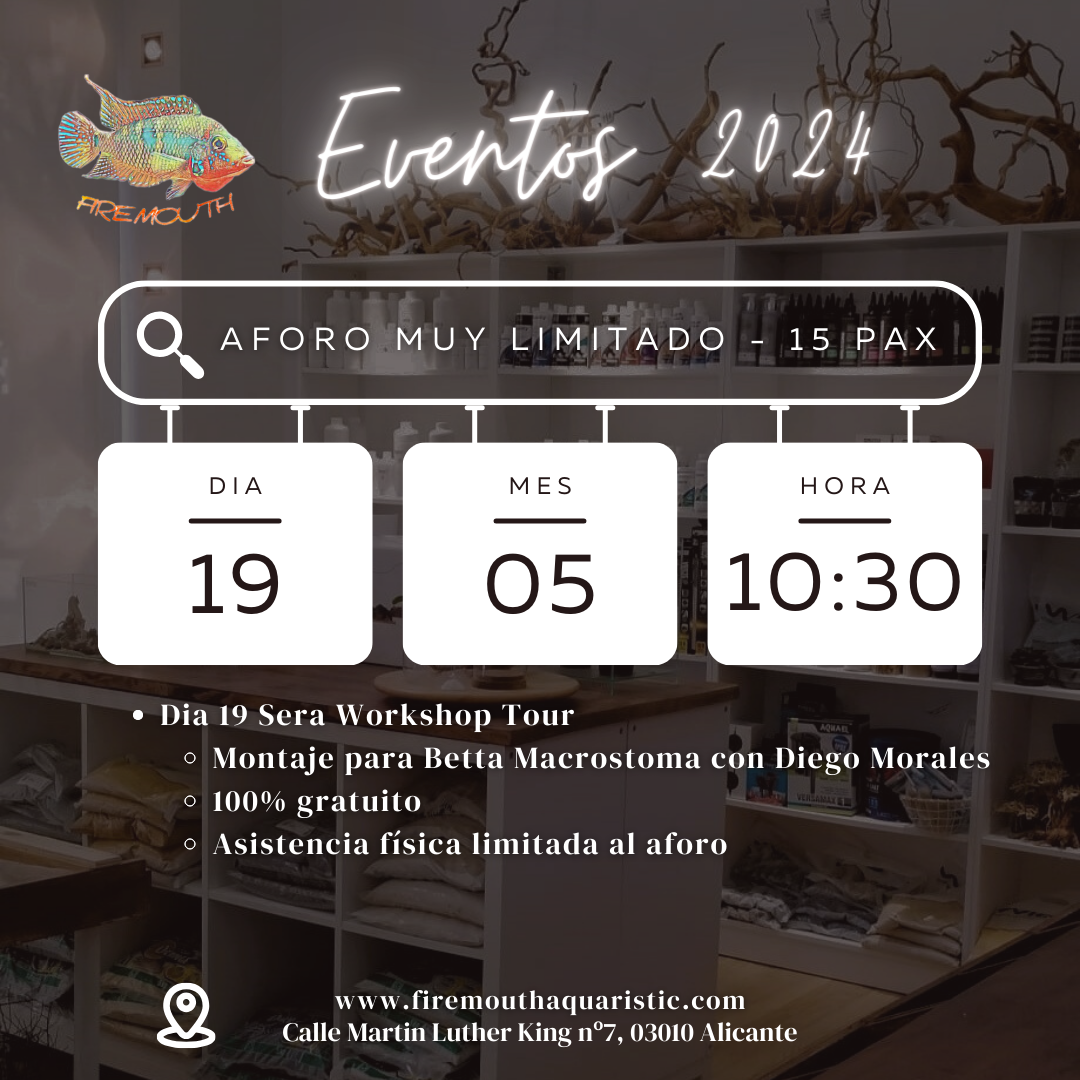 Evento 18 y 19 Mayo - Montaje 300L Binh Dinh, río An Lao y Workshop Tour de Sera