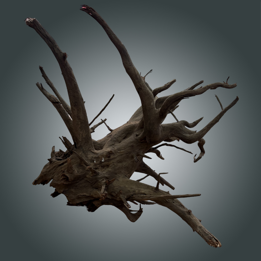 Natural Old Tree pieza nº 4m - 009