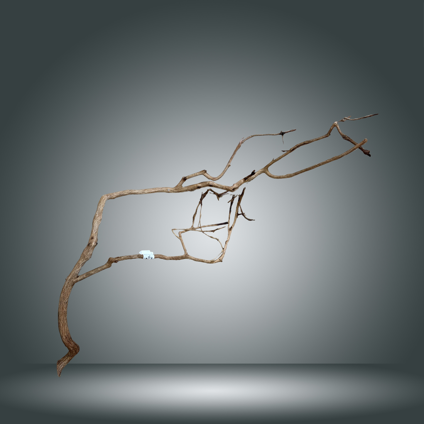 Perita wood XL Aprox. 120 cm - pieza 004