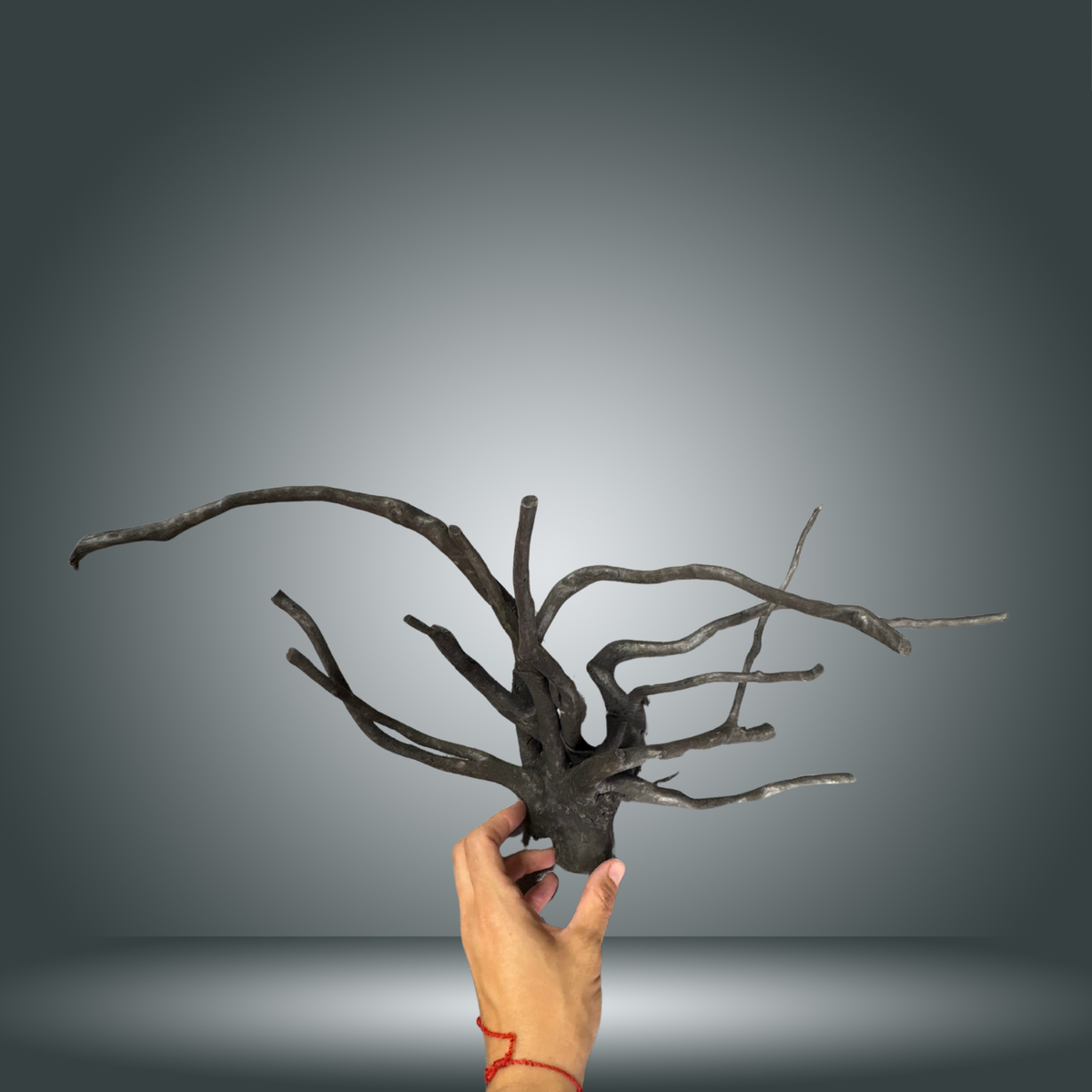 Black Spider 8OC-001 | aprox 30-40cm