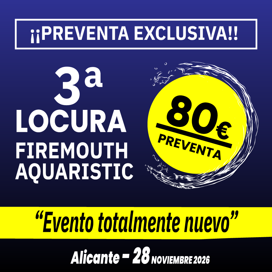 Evento 28 Noviembre 2026 - Tercer aniversario
