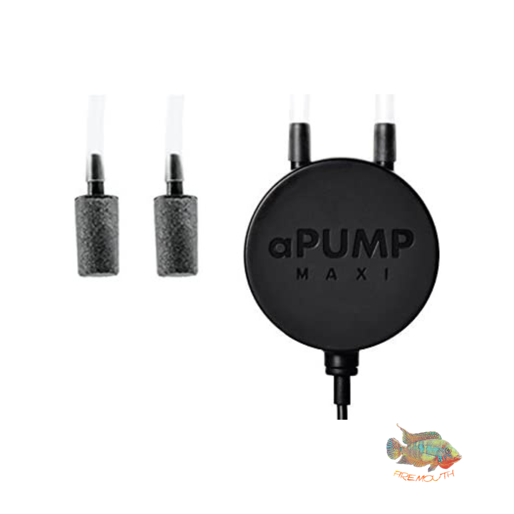 aPump MAXI de JBL