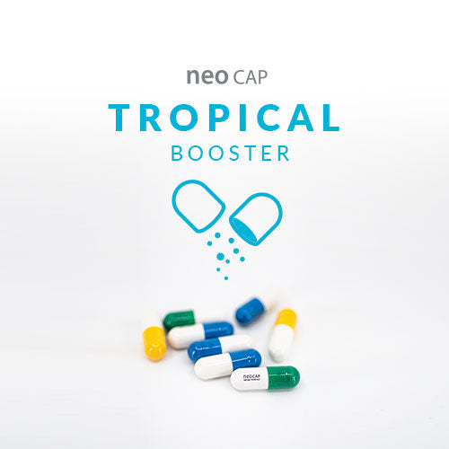 AquaRio NEO Cap Booster tropical
