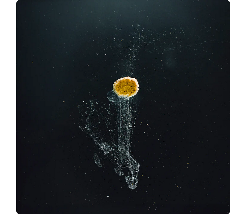 StreamBiz Artemia Paste 120 g