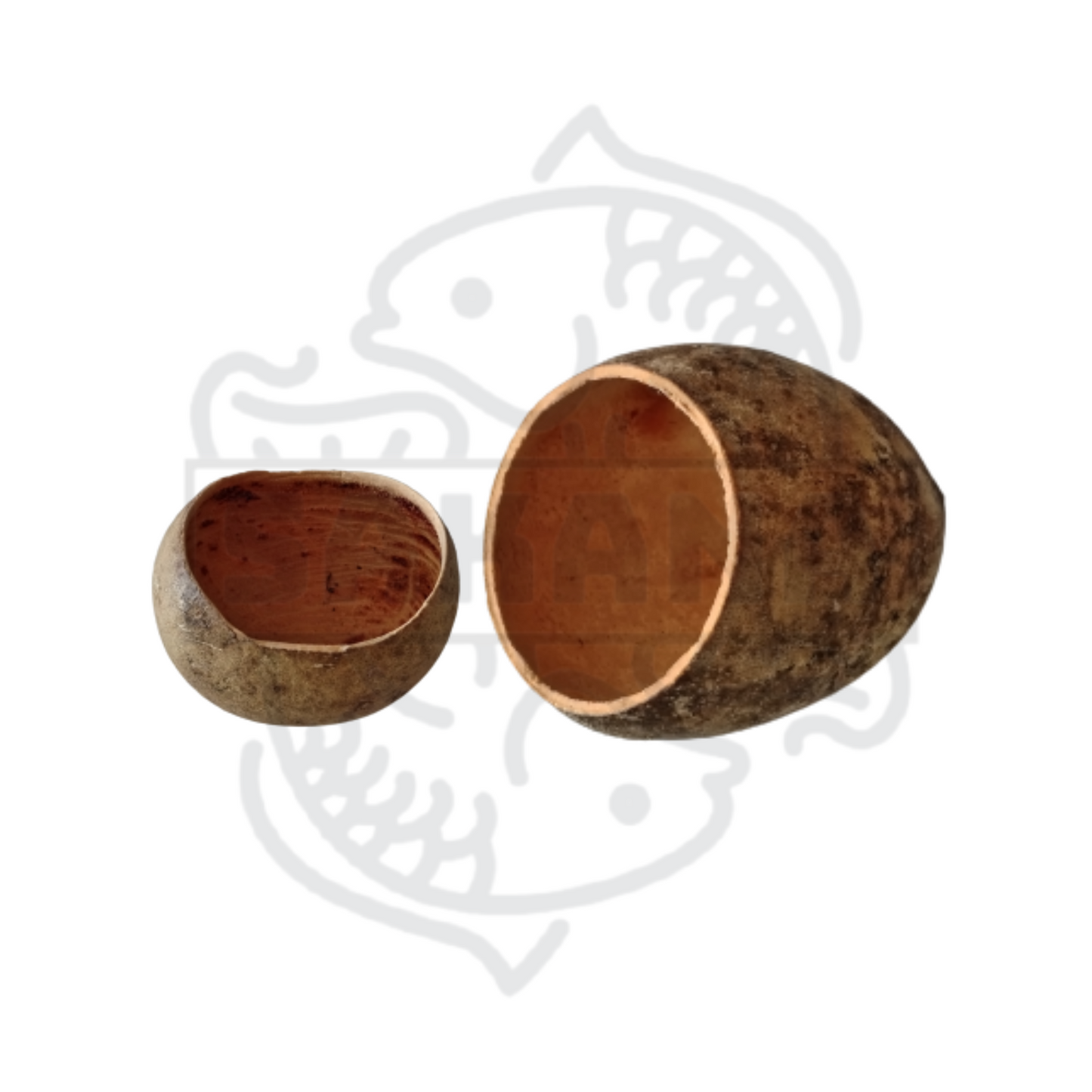 Bael Pod - pack 2 unidades