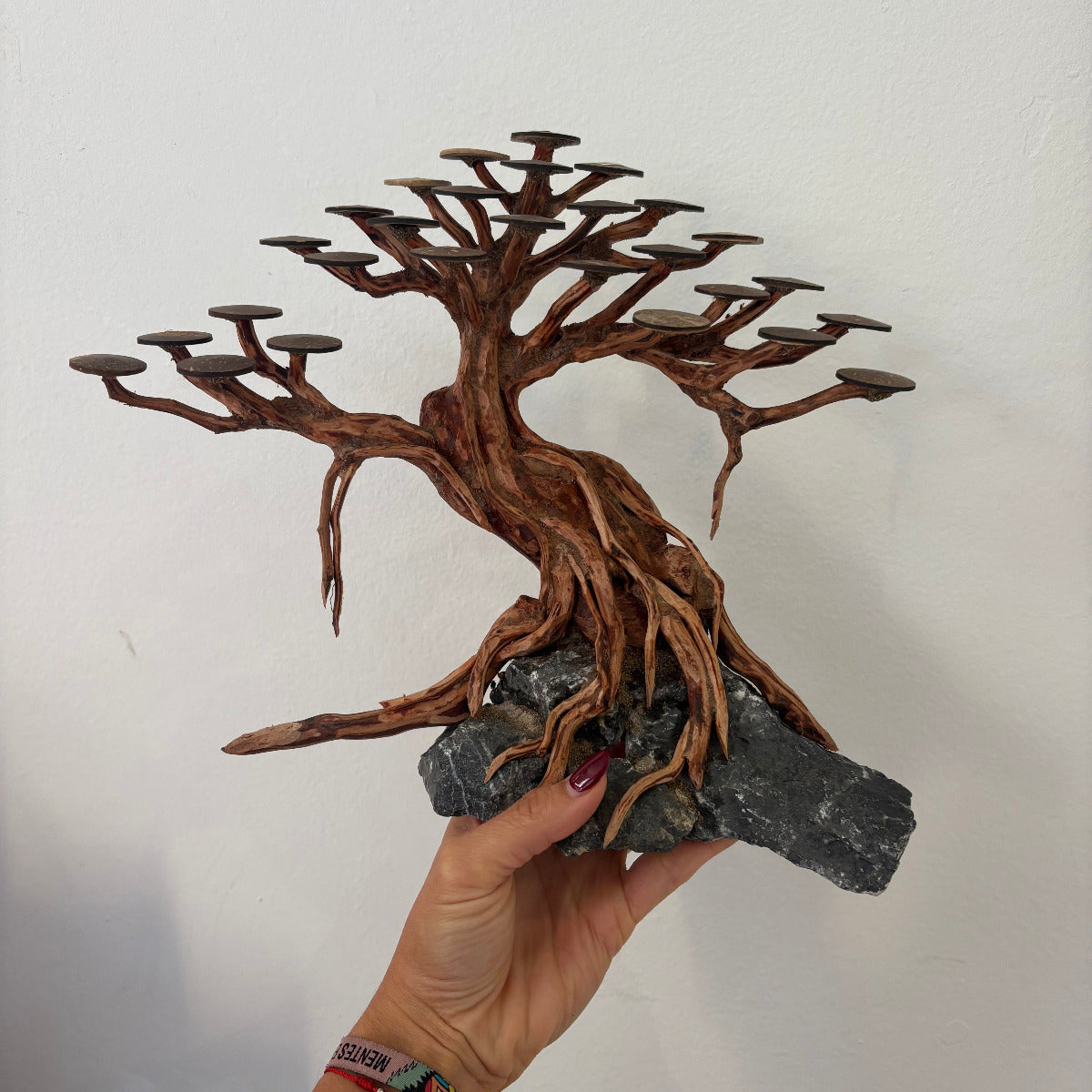 Bonsai Rasamala M