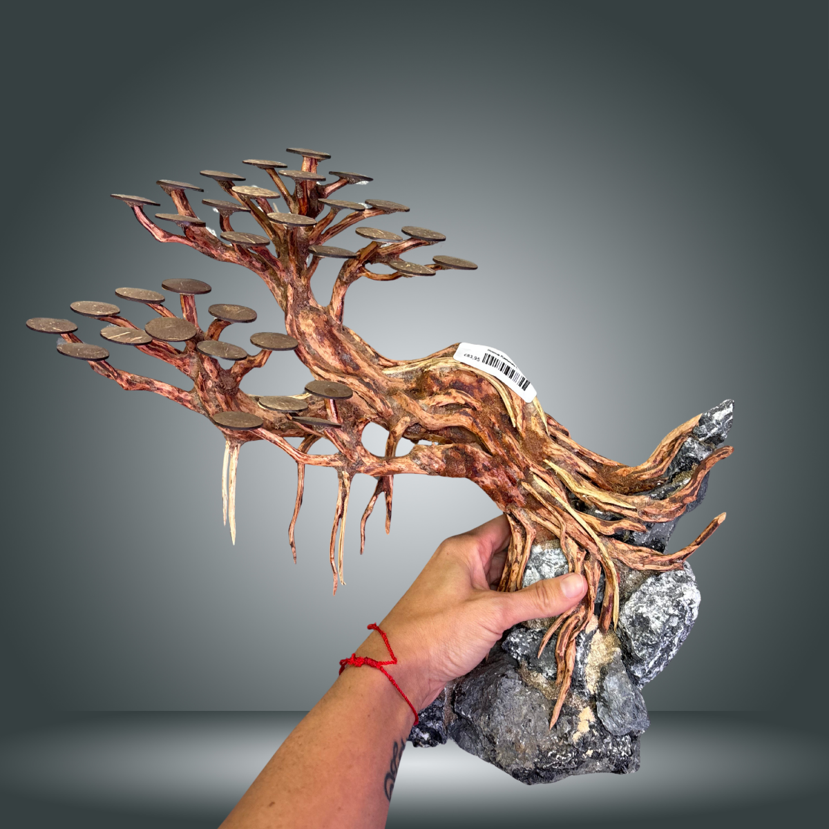 Bonsai Rasamala L