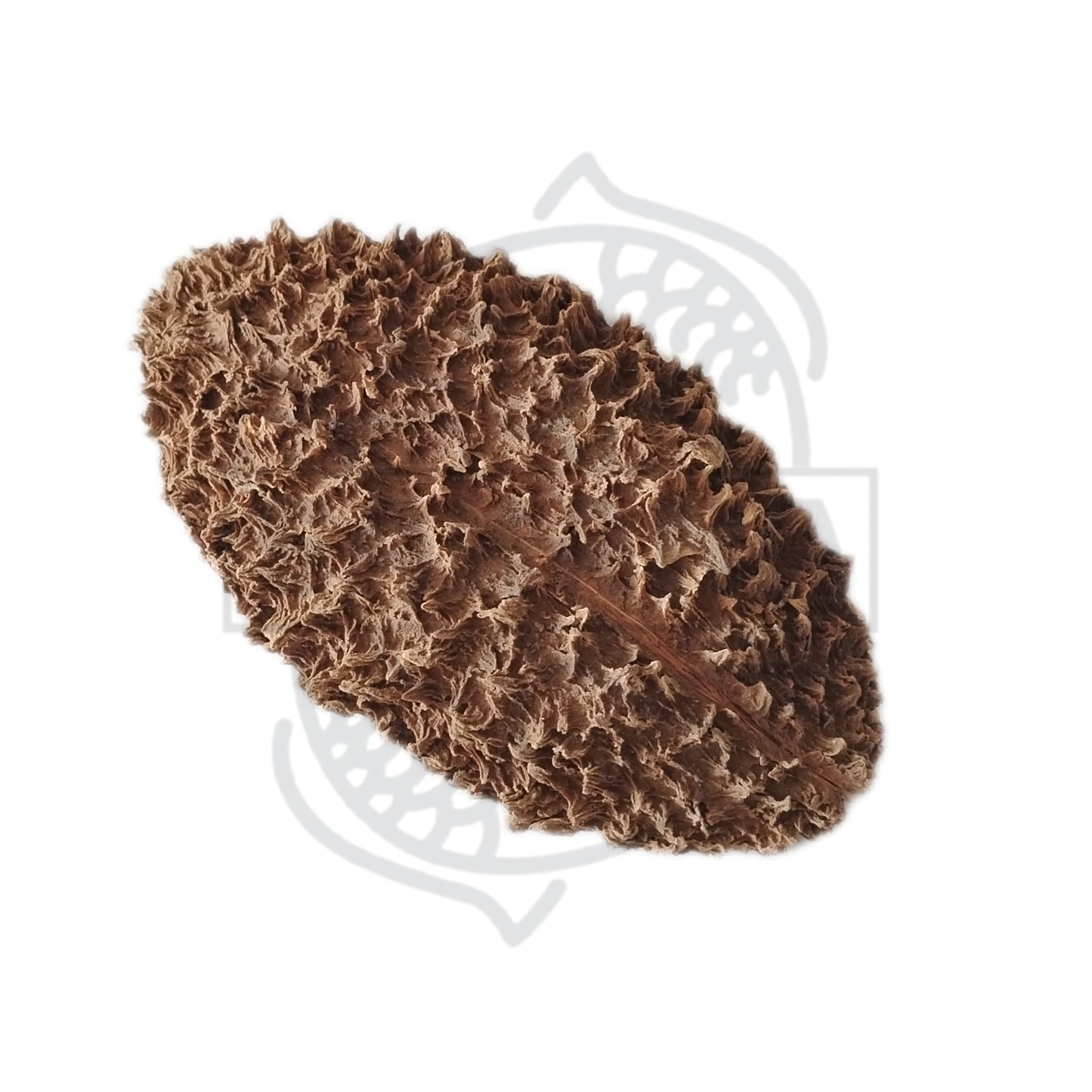 Cáscara Bolster mini