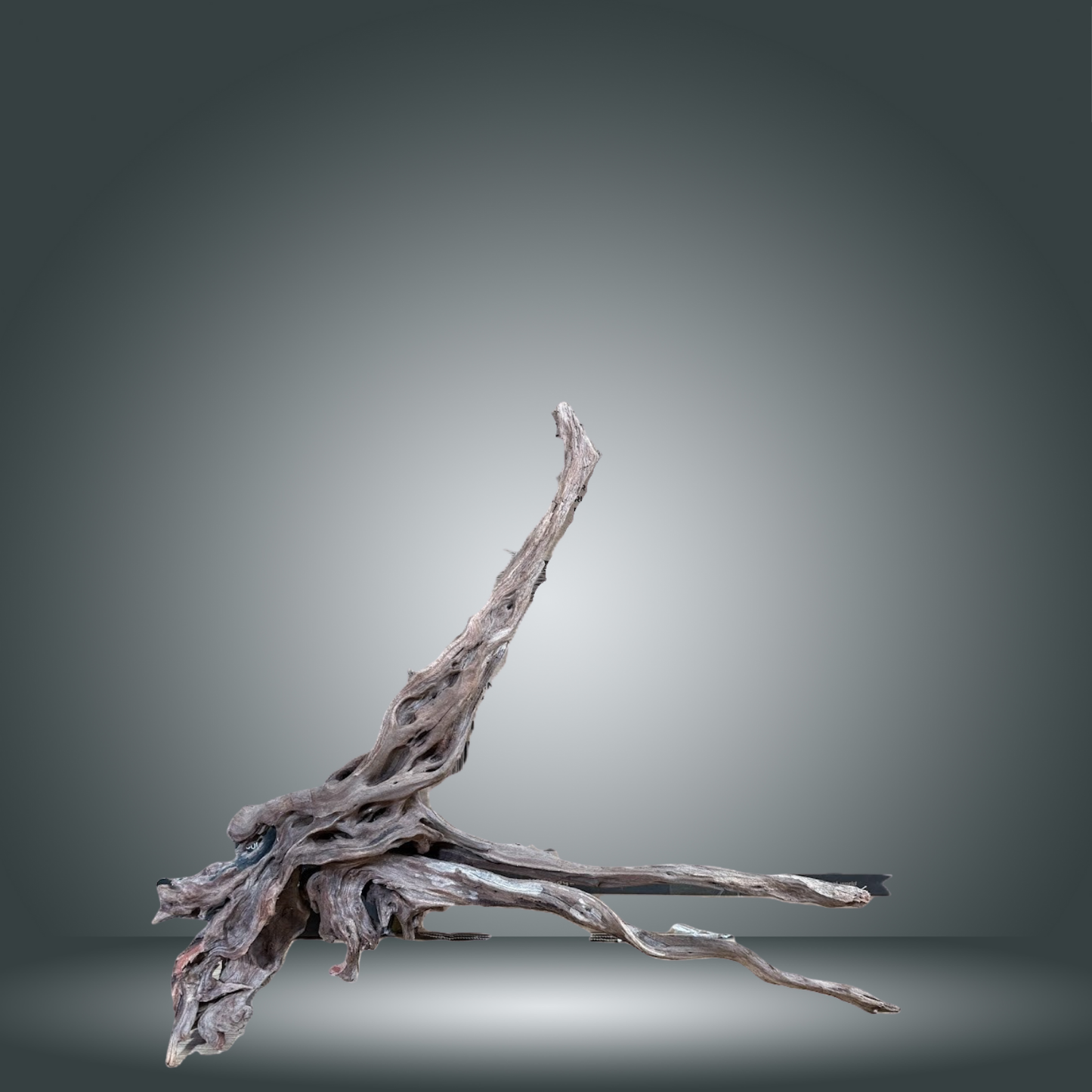 Coral Sinker 13E - 028 aprox. 20-35cm