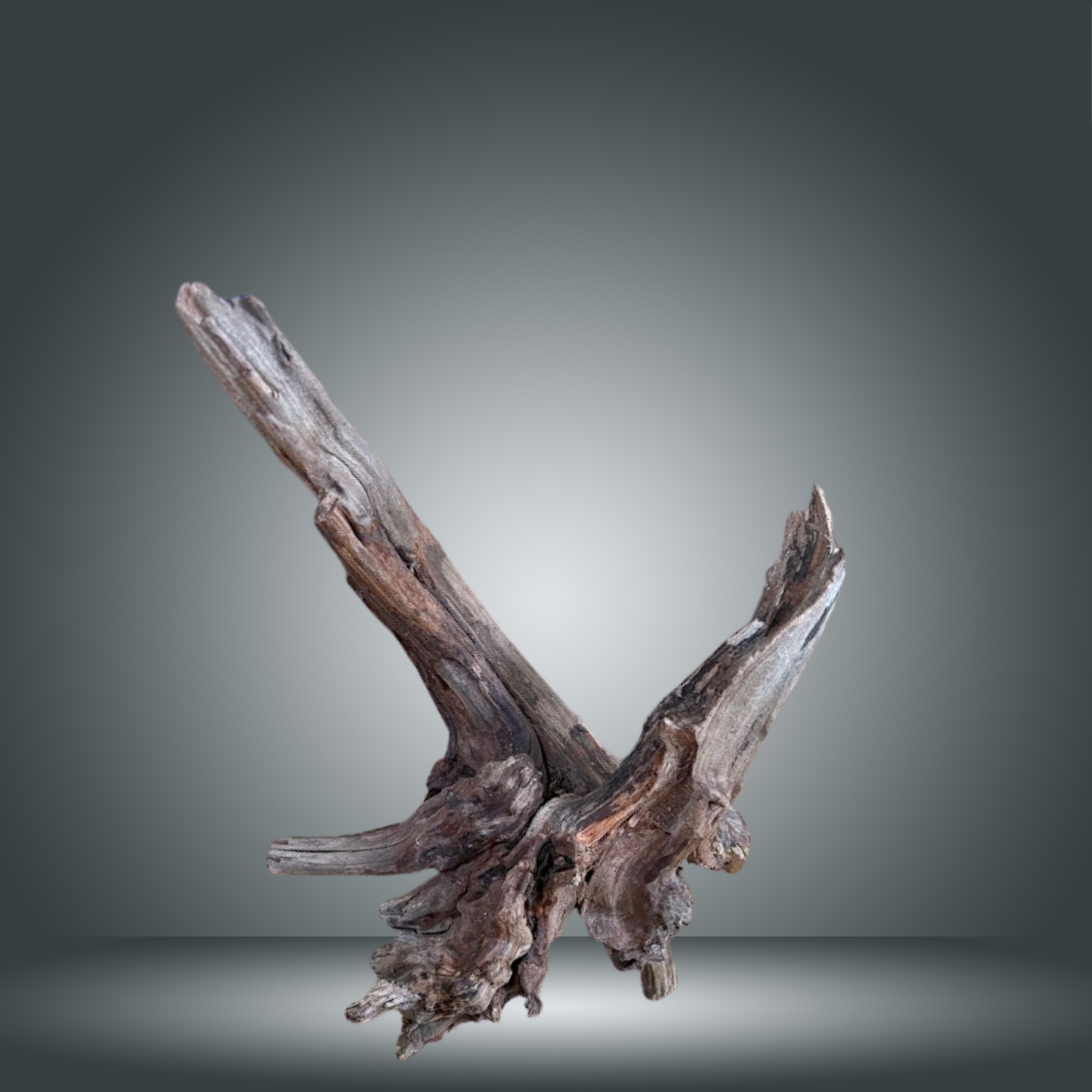 Coral Sinker 13E - 032 aprox. 20-35cm