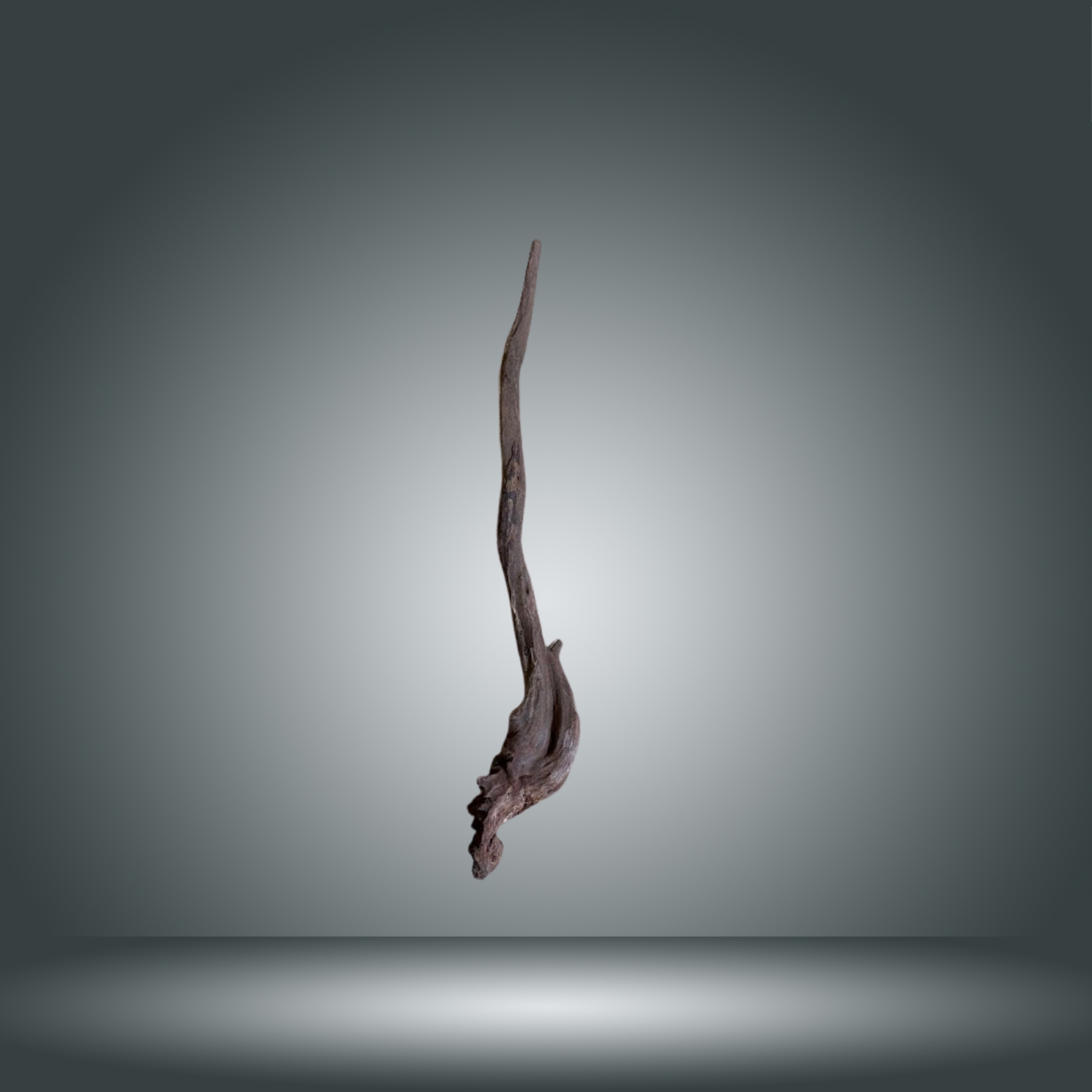 Coral Sinker 13E - 040 aprox. 20-35cm