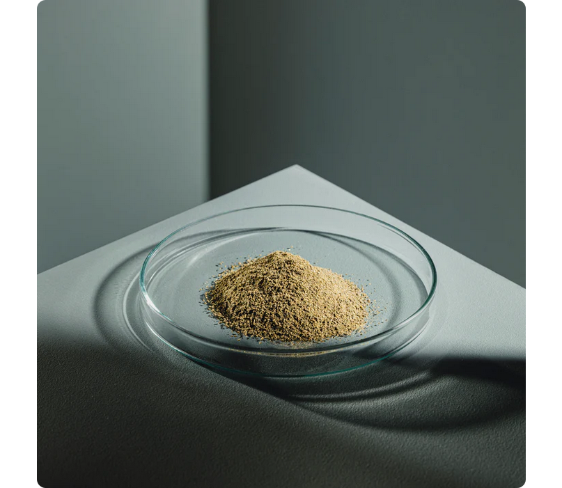 StreamBiz Crusta GRO Growth Food 40 g