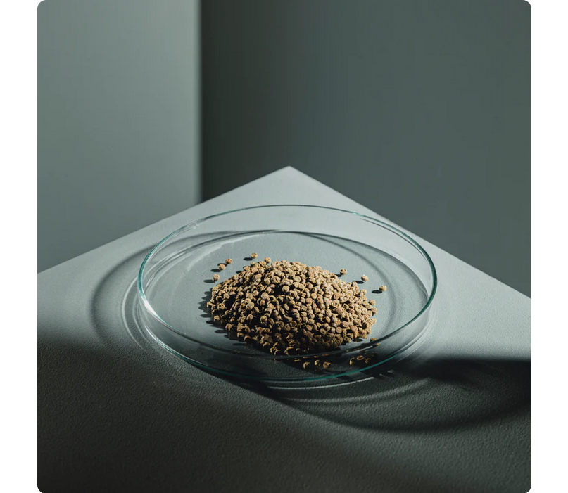 StreamBiz Crusta Plus Insect Chips 40g