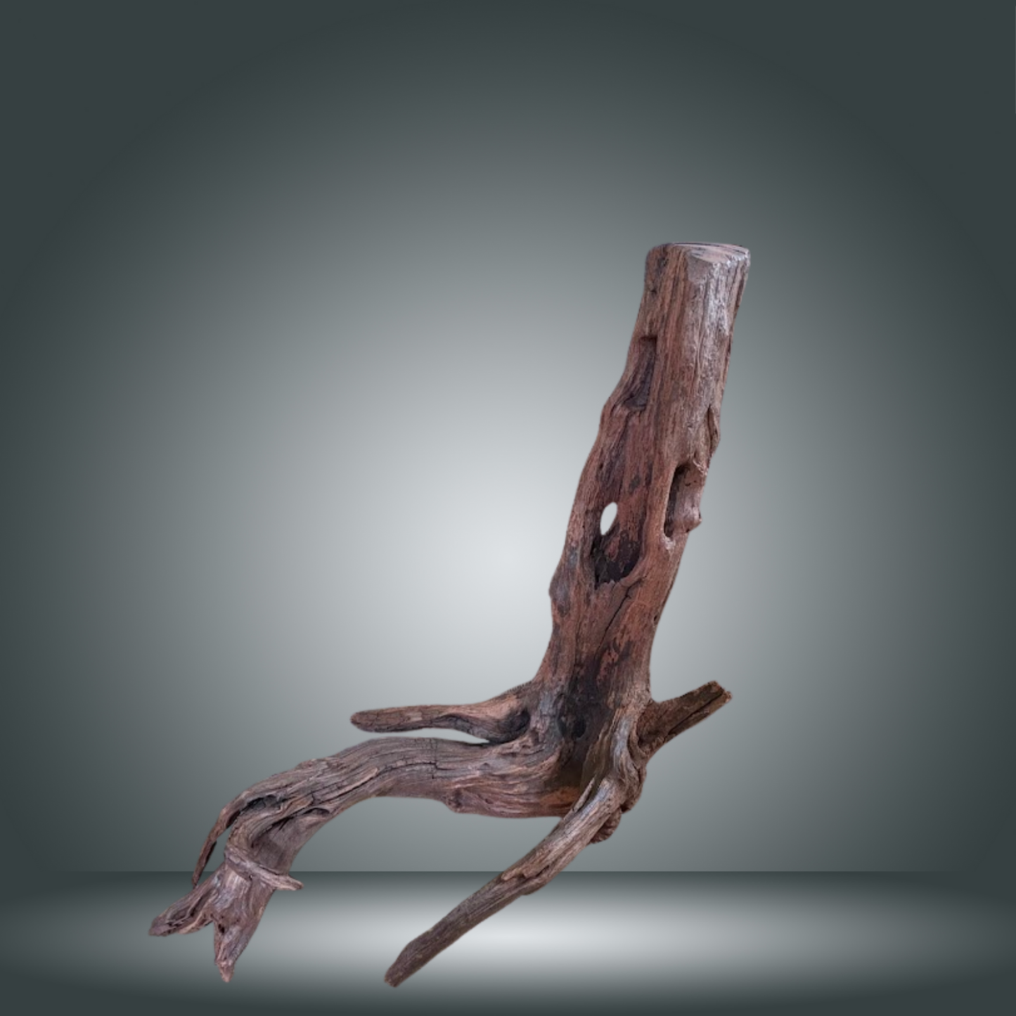 Driftwood 13E - 018 aprox. 80/100cm