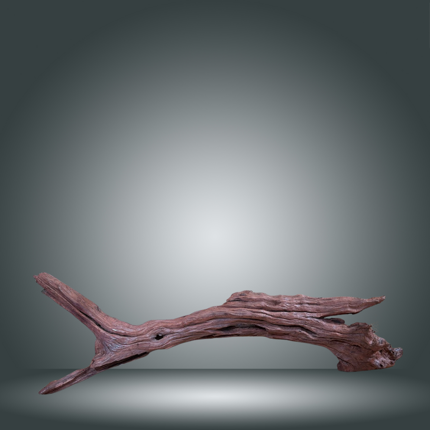 Driftwood 13E - 020 aprox. 80/100cm