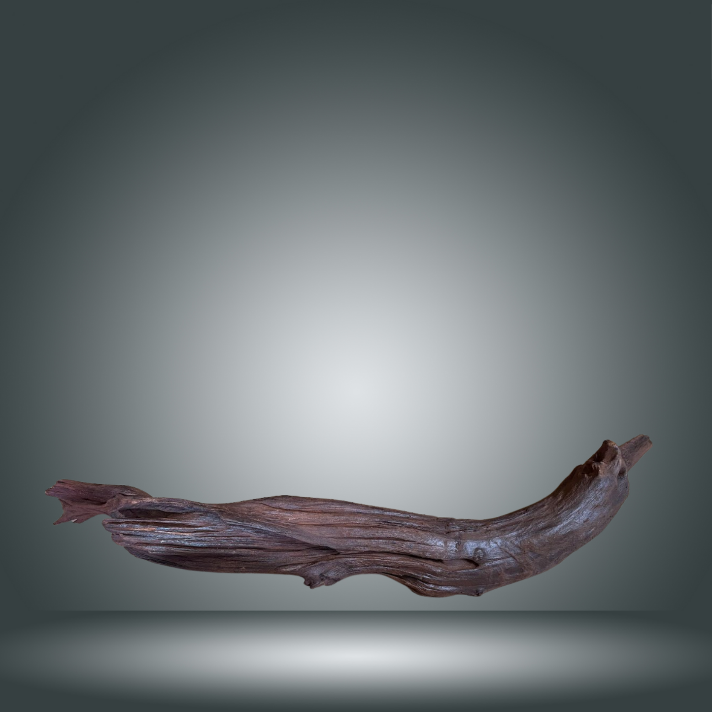 Driftwood 13E - 023 aprox. 60/80cm