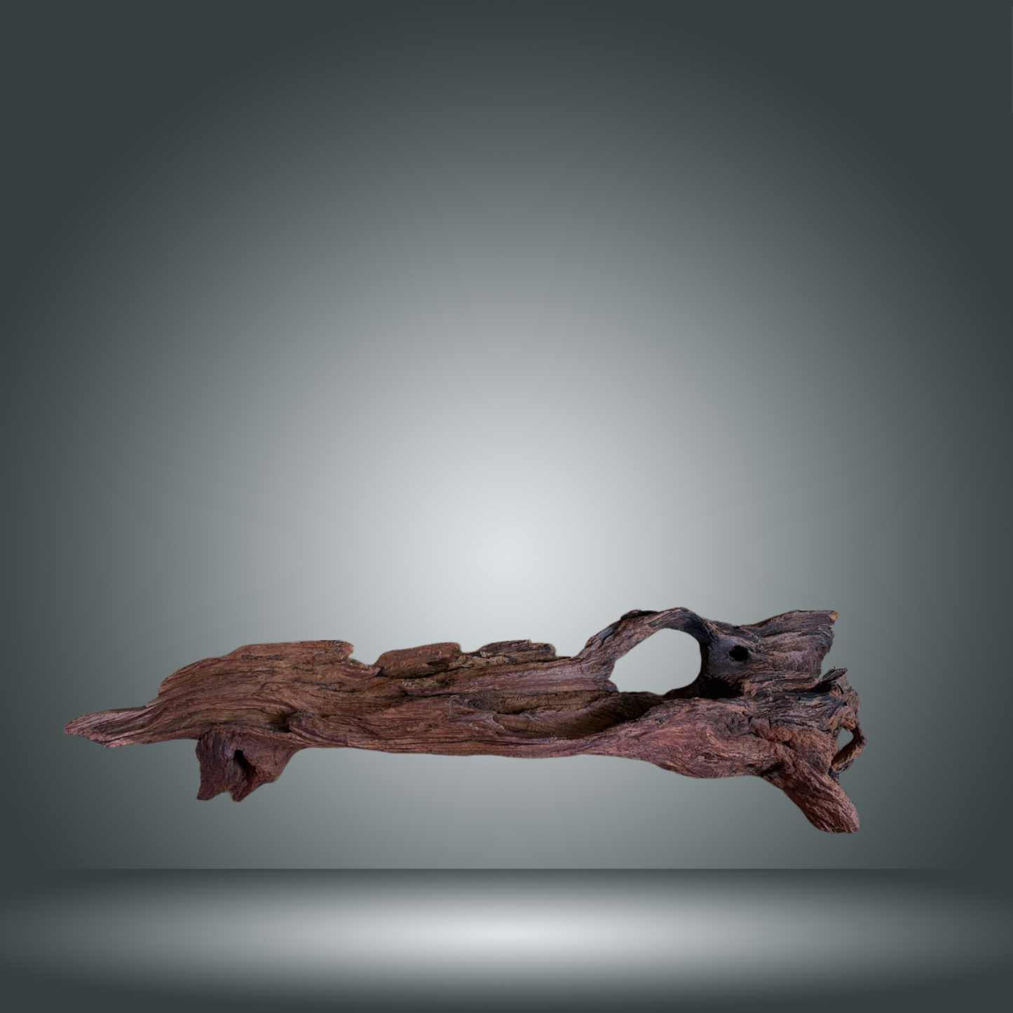 Driftwood 13E - 026 aprox. 50/60cm
