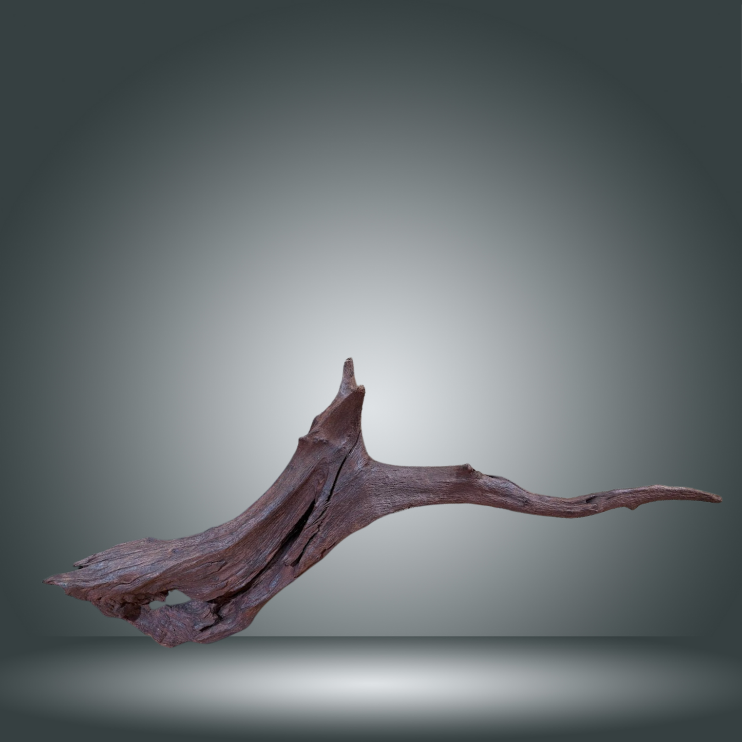 Driftwood 13E - 028 aprox. 60/80cm