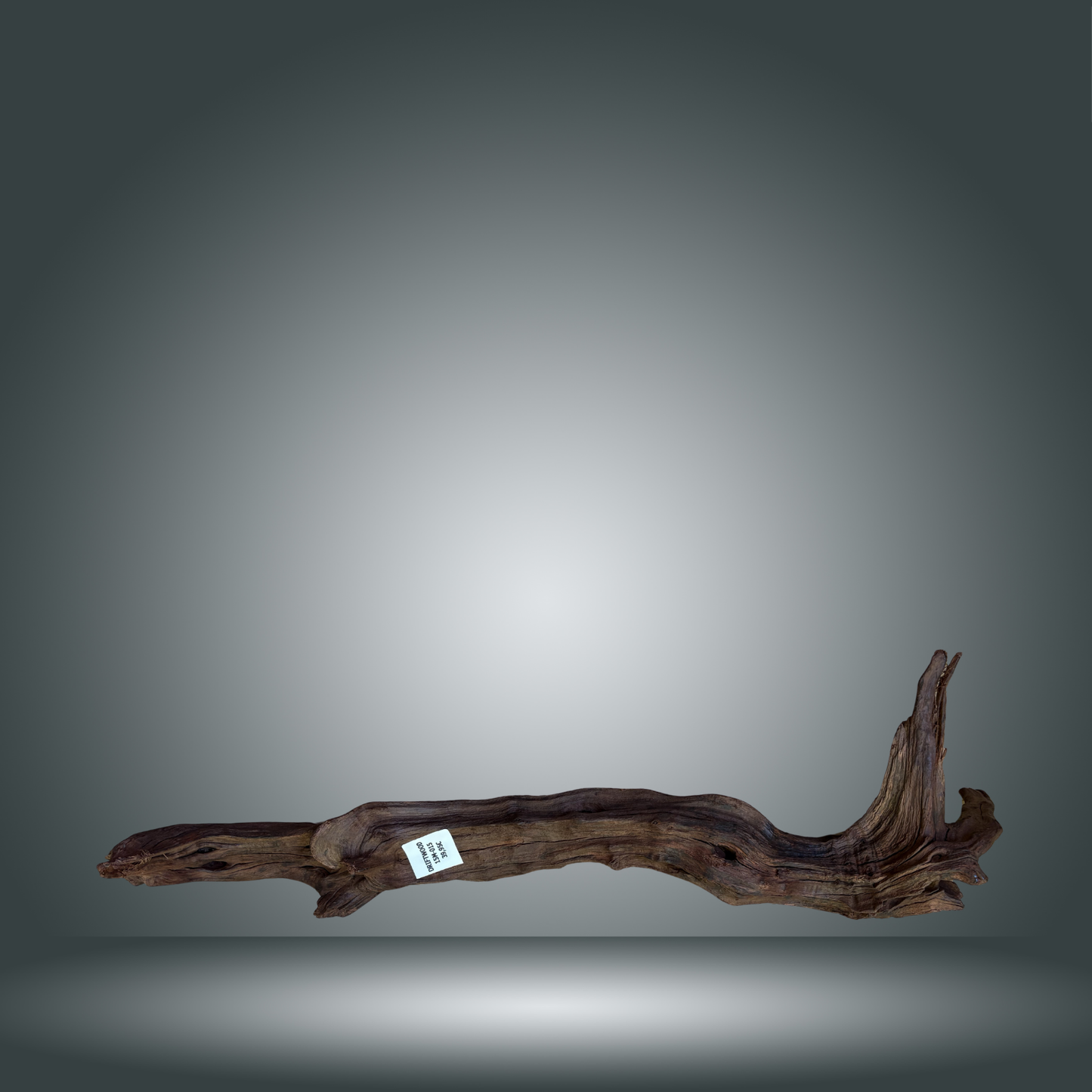 Driftwood talla L aprox 70cm 15M-015