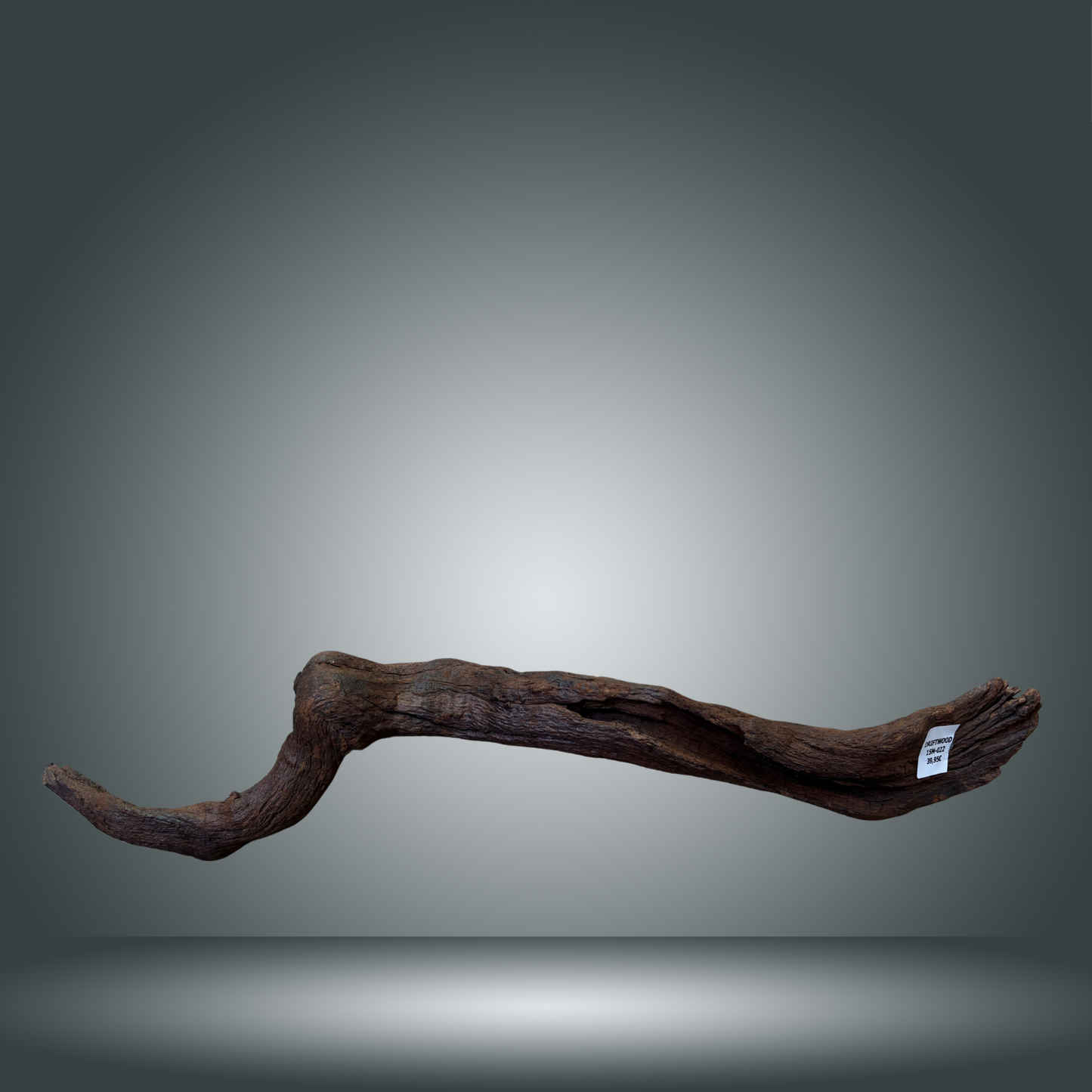 Driftwood talla L aprox 70cm 15M-022