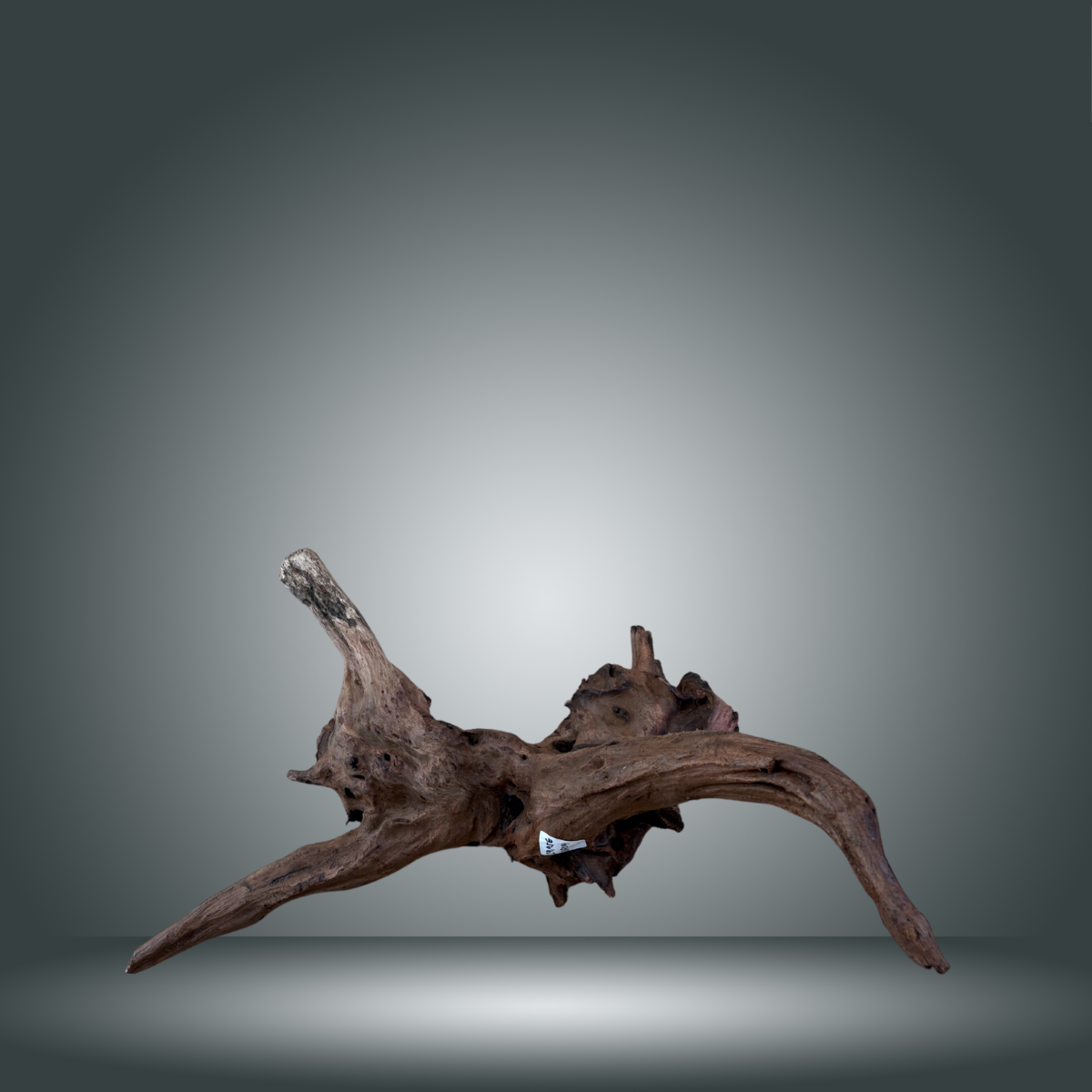 Driftwood pieza 24F - 014