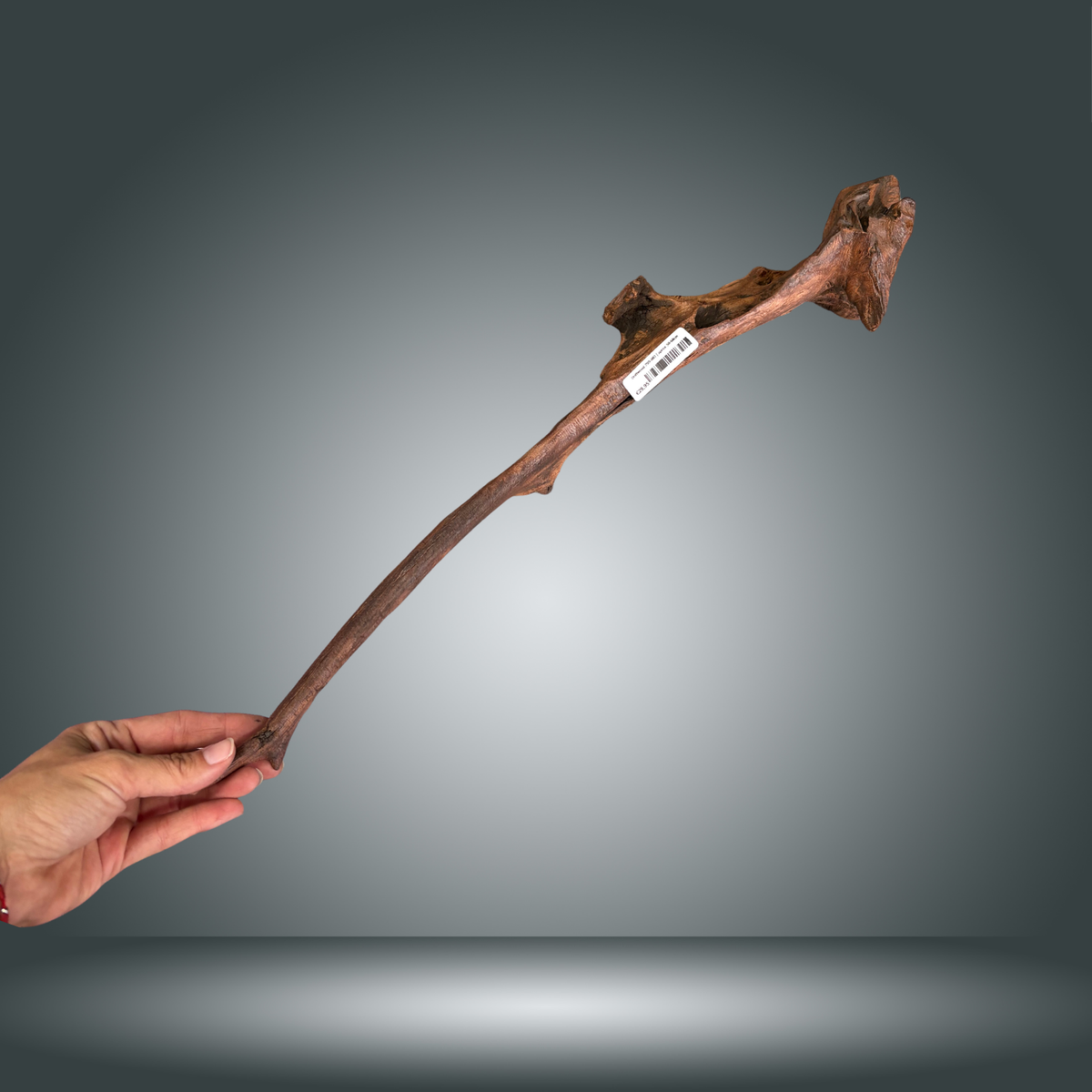 Driftwood 29S-003 | aprox 50-60cm