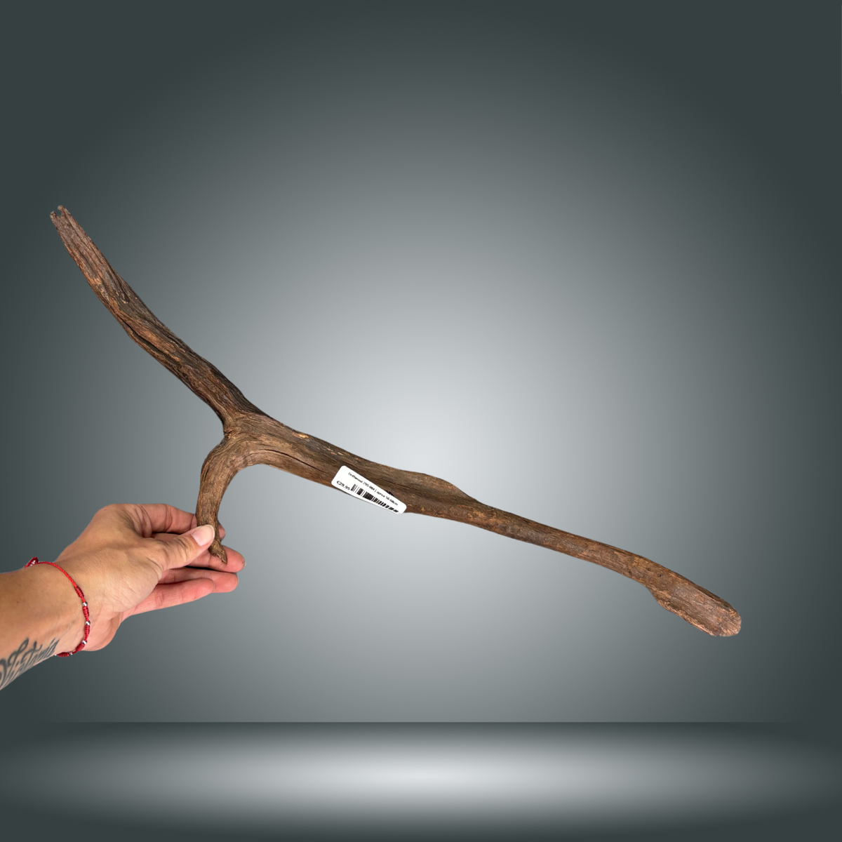 Driftwood 29S-004 | aprox 50-60cm