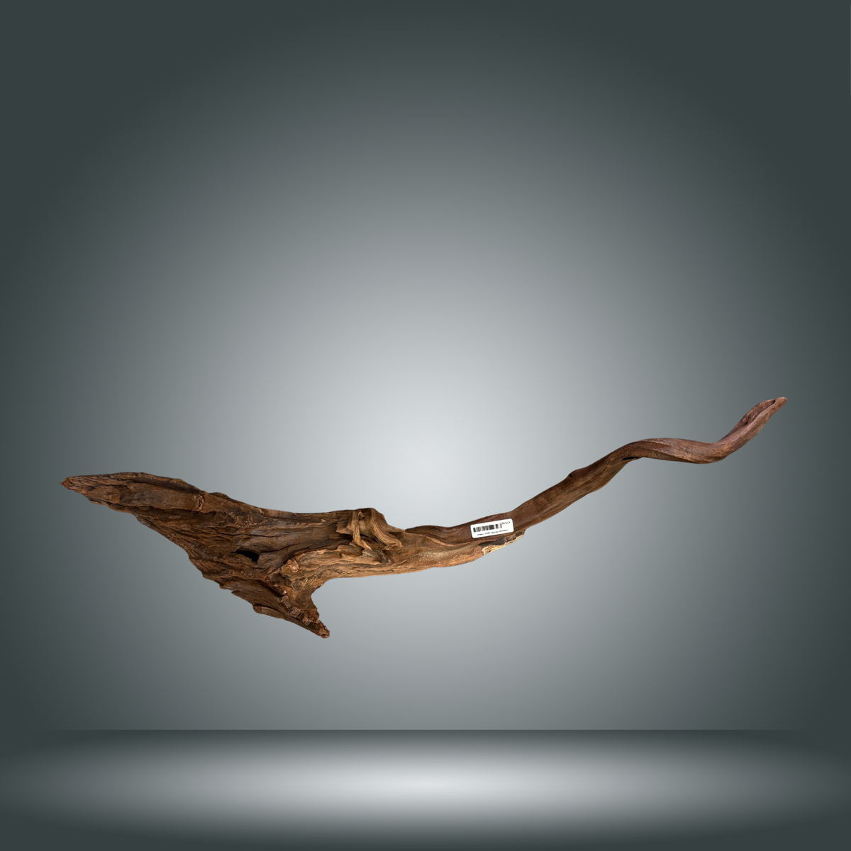 Driftwood 29S-020 | aprox +100cm