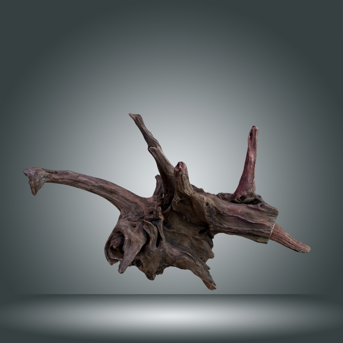 Driftwood 2M-001 aprox 50cm