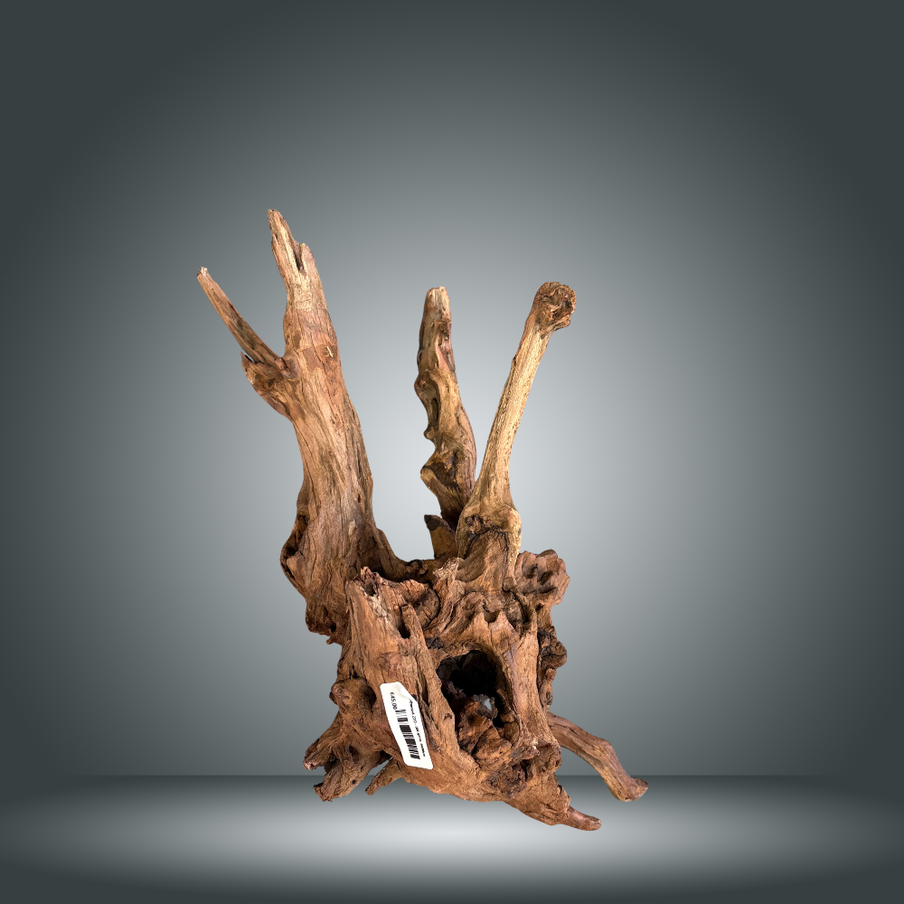 Driftwood 22O - 004 aprox. 60/80cm
