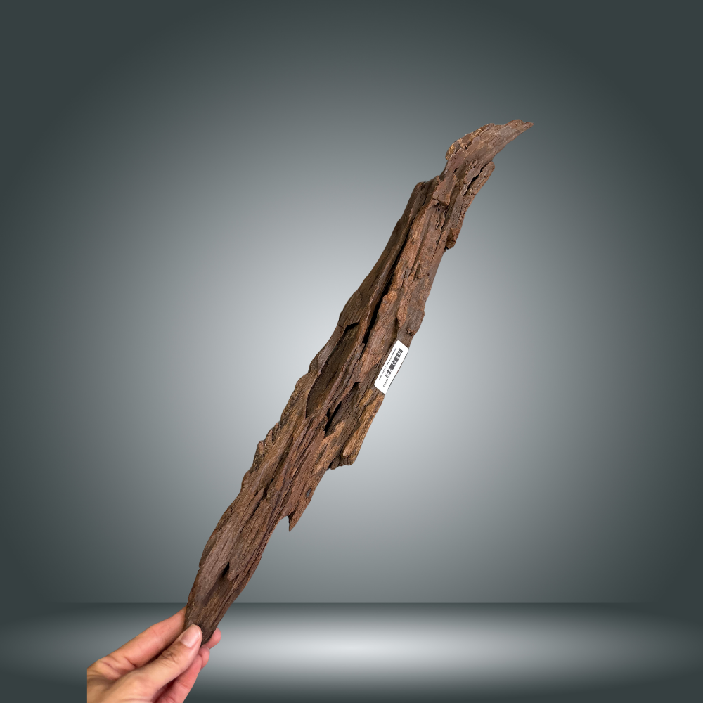 Driftwood 22O - 006 aprox. 50/60cm