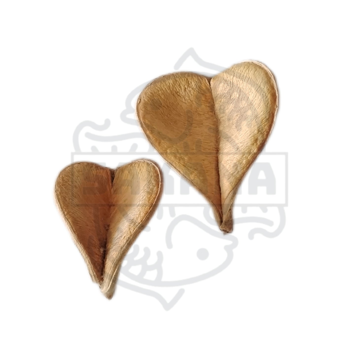 Elefante Pod - pack 2 unidades