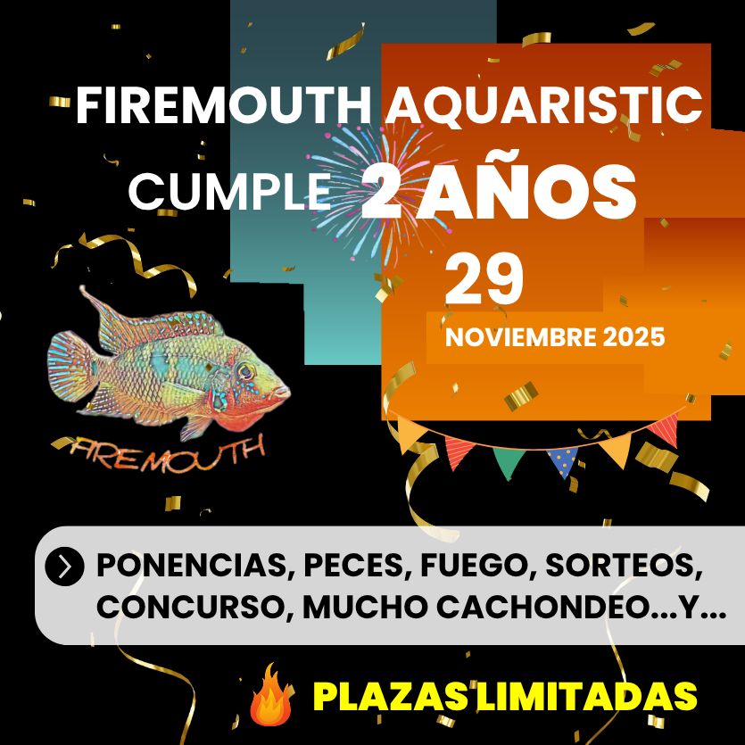 SOLD OUT Evento 29N - Segundo Aniversario