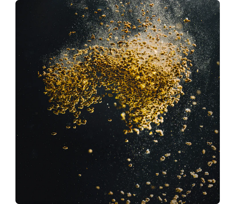 Streambiz Immun PLUS Granulado 80g