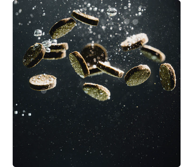 StreamBiz Catfish Nuggets Soft Herbivore 90 g