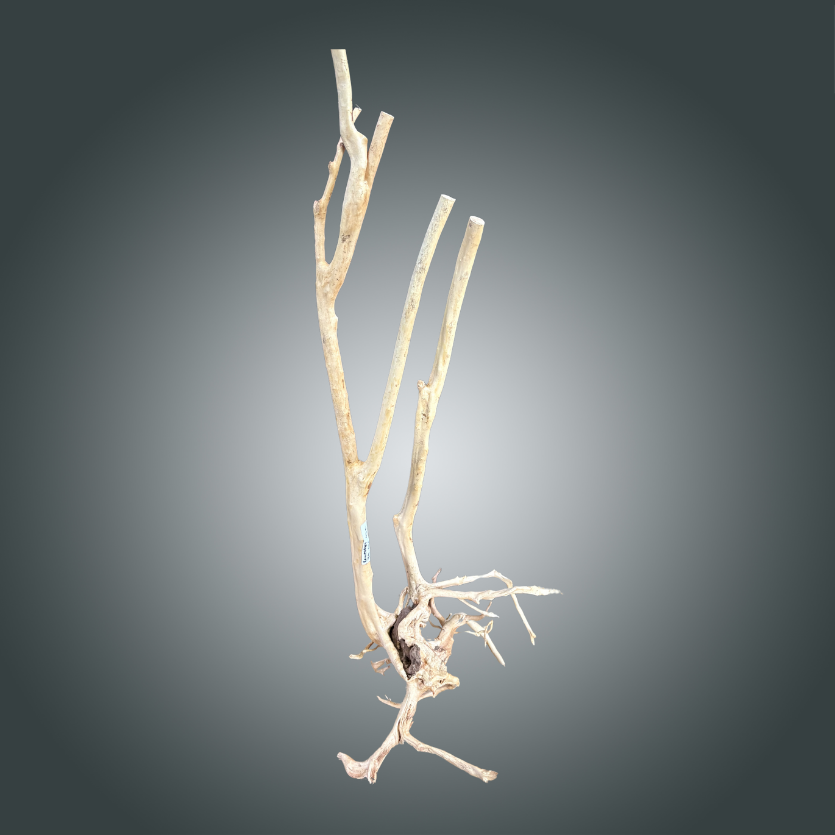 Rainforest pieza nº 4M-010