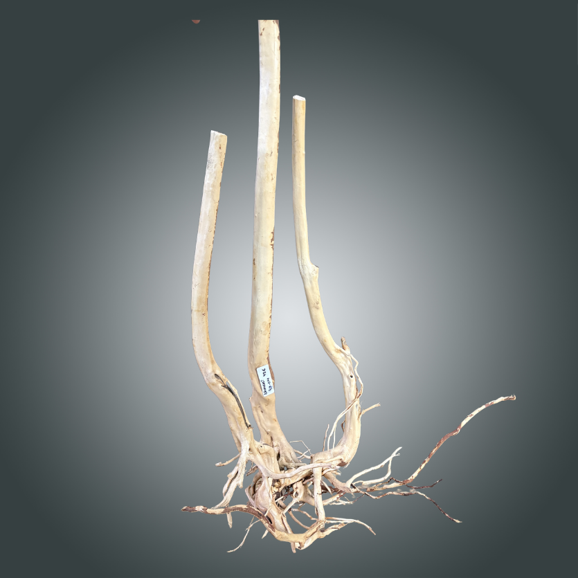 Rainforest pieza nº 4M-011