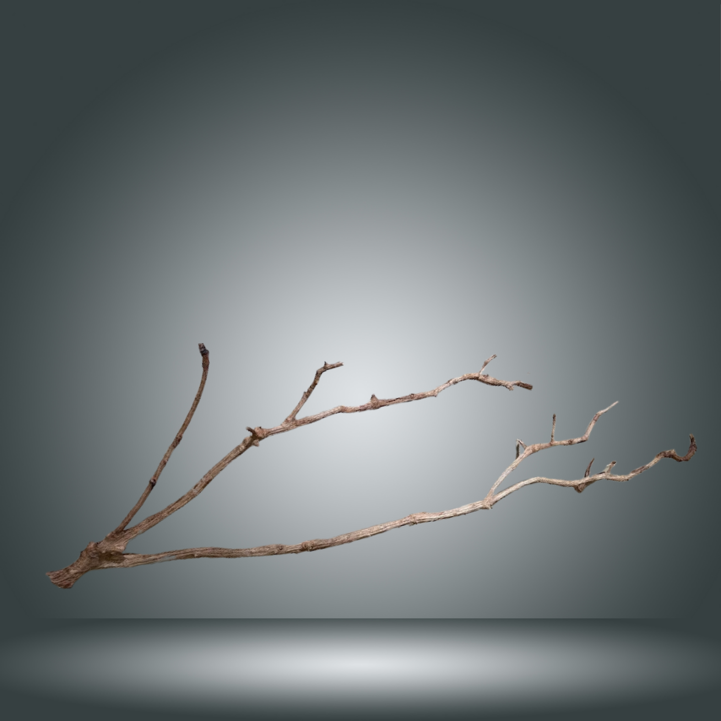 Perita wood 13E - 044 Aprox. 120 cm