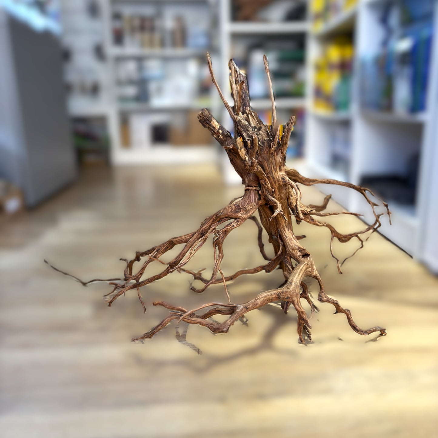 Rasamala Brown Jumbo XXL