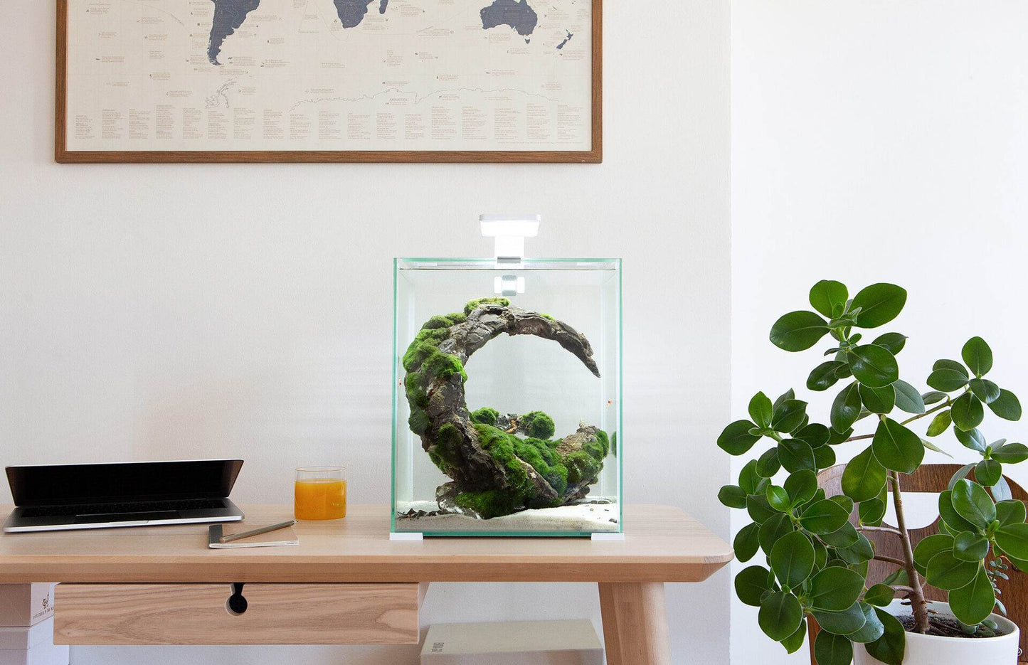 Acuario Aquael SHRIMP SET D&N - 30 color blanco