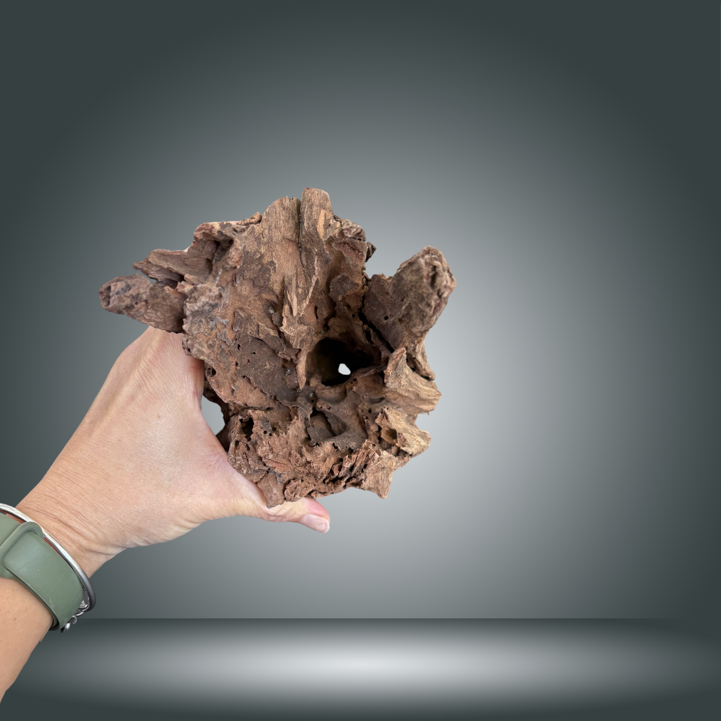 Tree Stump 13F - 001