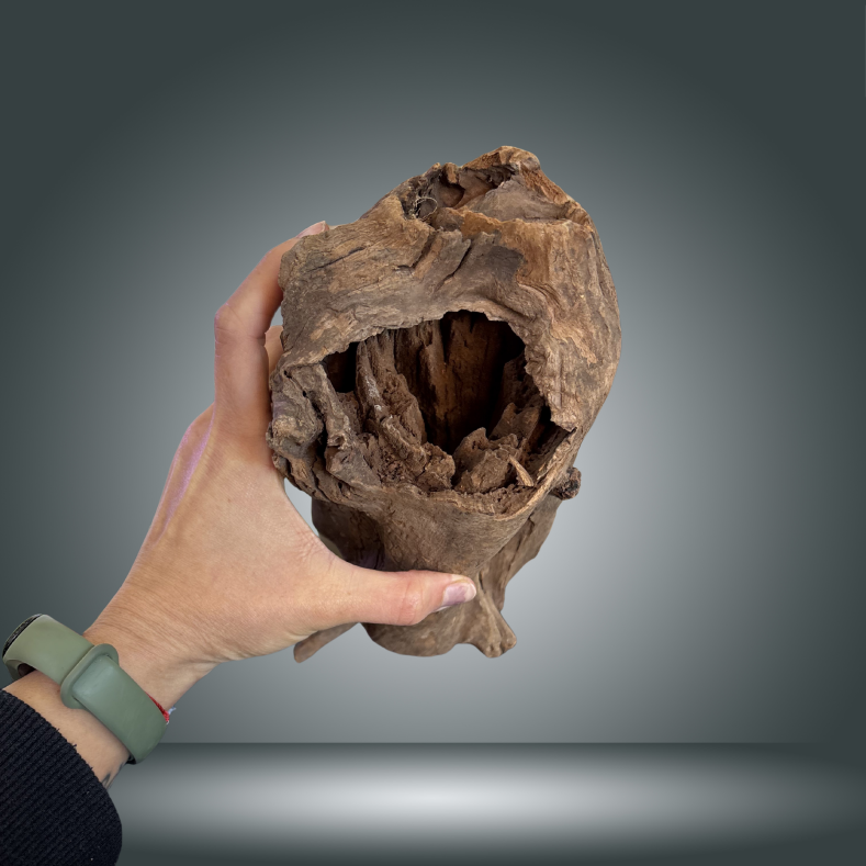 Tree Stump 24F - 060