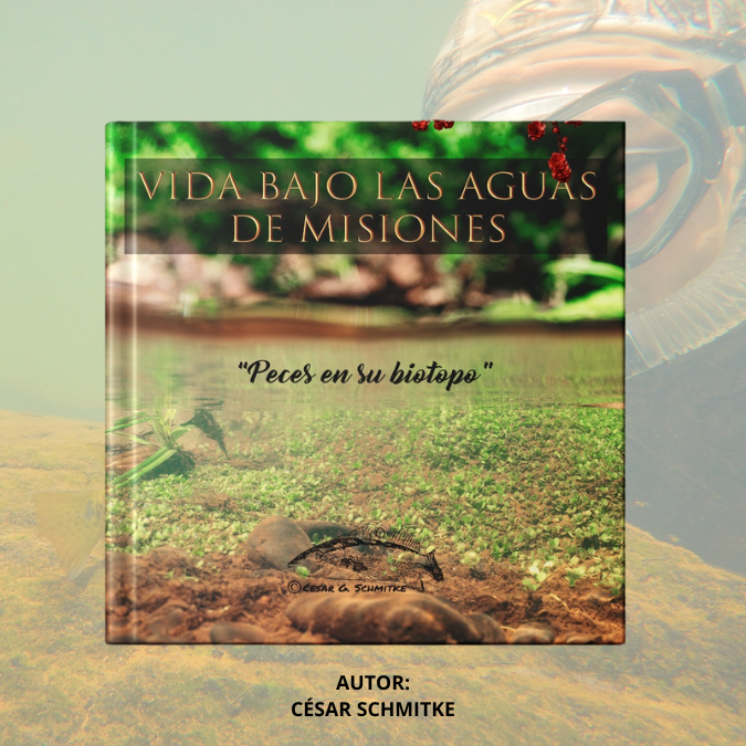 Vida bajo las aguas de Misiones - Peces en su Biotopo OFERTA -25% DESCUENTO