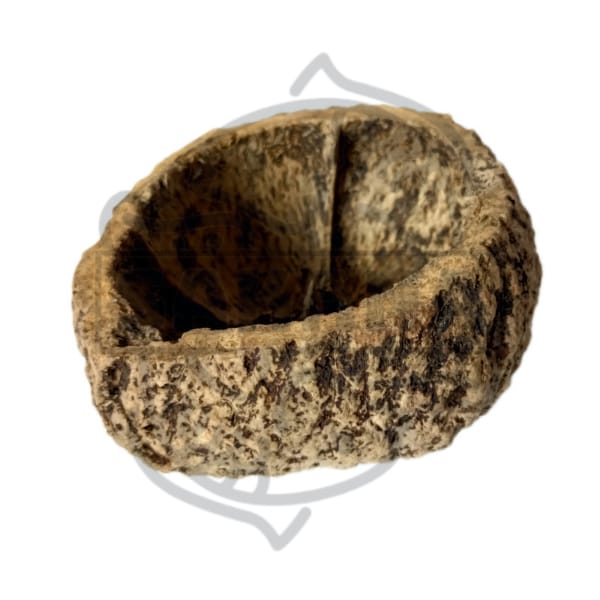 Cáscara de nuez de brasil