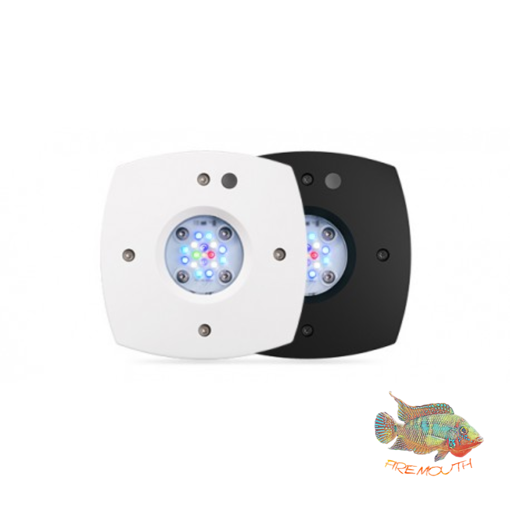 Pantalla Led AI Prime 16HD REEF 59 w