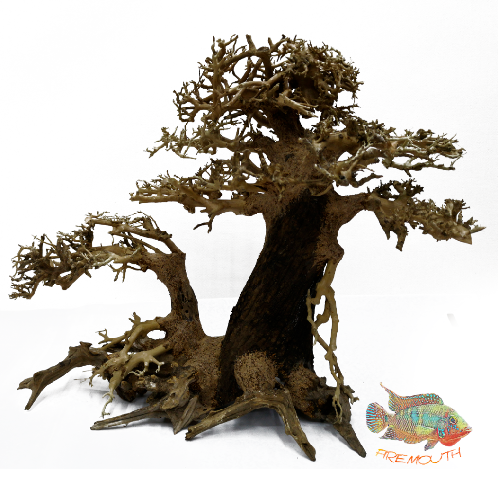 Bonsai multi tronco izquierda - Bonsaqua