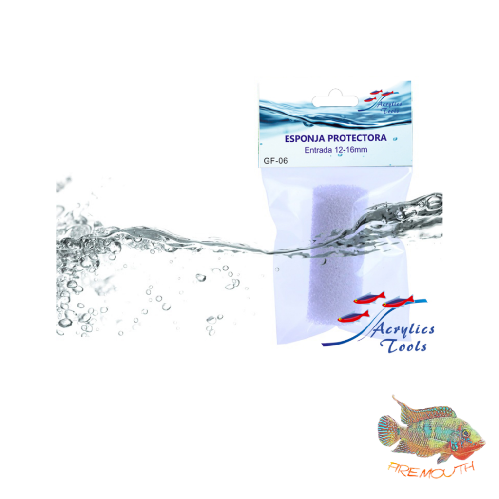 Esponja protectora