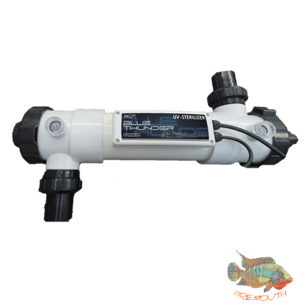 Germicida Blue Thunder