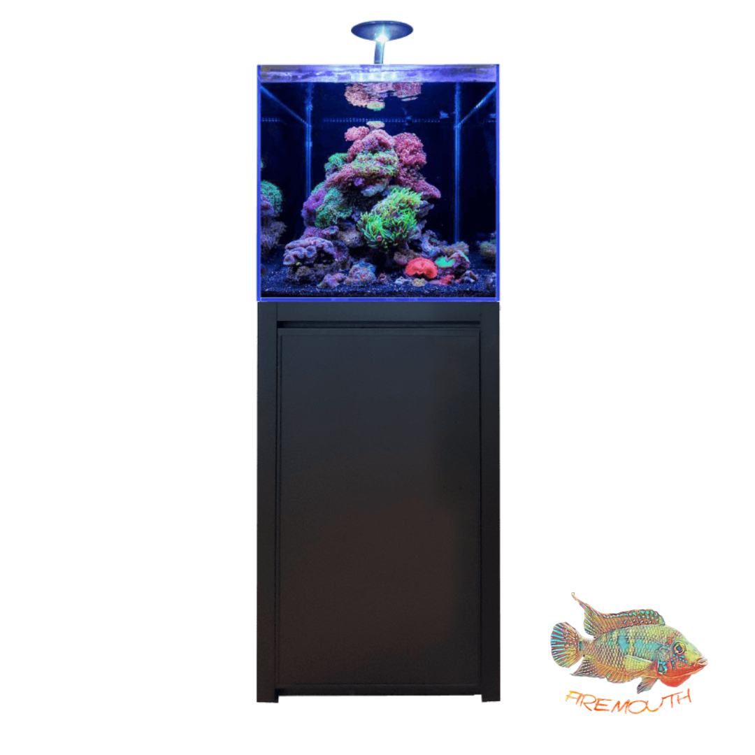 REEF 125 AQUARIUM BLUE MARINE